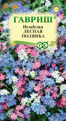 Незабудка азиатская (Myosotis asiatica) - PictureThis