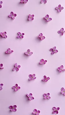Однотонный нежно фиолетовый цвет | Puzzle books, Pretty colours, Purple vibe