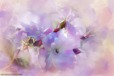 Фиолетовые цветы сирени, нежно-…» — создано в Шедевруме