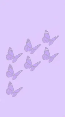 Нежно фиолетовый цвет фон - фото и картинки: 66 штук
