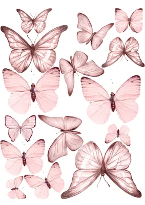 нежно розовые бабочки | Бумажные бабочки, Акварельные иллюстрации, Рисунки