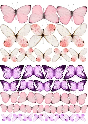 бабочки нежные #бабочкитагуи #buterfly #бабочкикрасивые | Бумажные бабочки,  Рыбные иллюстрации, Шаблоны печати