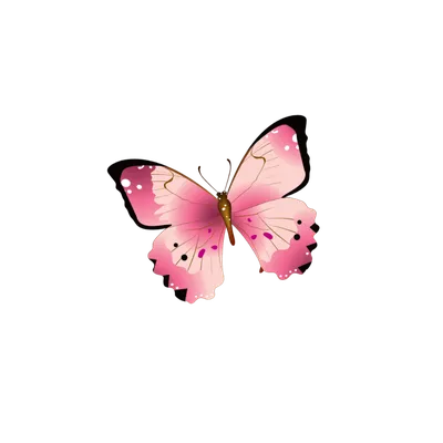 Красивые розовые бабочки - Фонопедия.ру