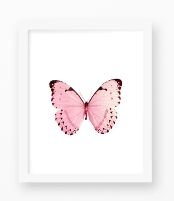Заготовки из фетра Бабочка 10х8 см нежно-розовая купить по цене 12.50 грн в  магазине рукоделия 100 идей