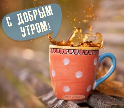 💗☕️🌷Доброе Утро! Хорошего Дня! Заряд Позитива на Весь День!💞 - YouTube