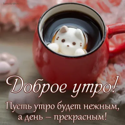 Доброе утро картинки красивые необычные нежные | Доброе утро, Счастливые  картинки, Картинки