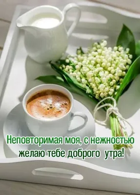 Картинки \"С Добрым Утром!\" для любимого (255 шт.)