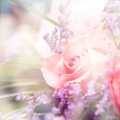 Нежные цветы, букет в красивой …» — создано в Шедевруме