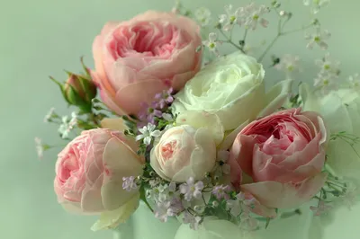 ✓ Нежные цветы для Любимой ◈ Купить он-лайн в интернет-магазине цветов  Цветариус ◈ Цена - 3 900 руб. ◈ (Артикул - бк041)