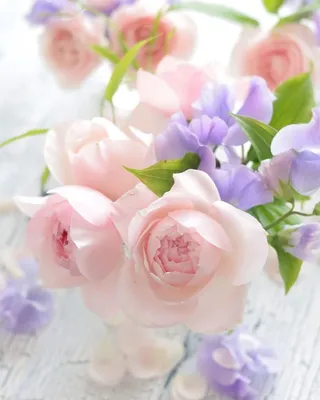 Нежные цветы в коробке | Цветы в шляпной коробке | Kiwi Flower Shop
