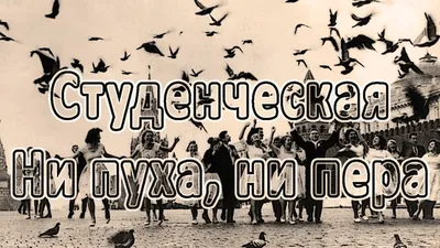 Ни пуха, ни пера. Студенческие и туристские песни Издательство Композитор  Санкт-Петербург 167338677 купить в интернет-магазине Wildberries