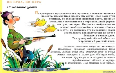 Ни пуха ни пера / Sitting Ducks Gallery: Промо-картинка русского издания |  Tesera