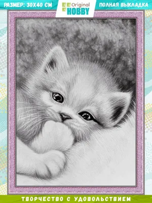 Милые животные кота ребенка Стоковое Фото - изображение насчитывающей мило,  коты: 184411916