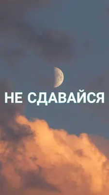 Никогда не сдавайся! Мотивационный плакат для тренировок, баннер, флаг,  декор для тренажерного зала, бодибилдинг, фитнес, тренировки, обои,  гобелен, Картина на холсте | AliExpress