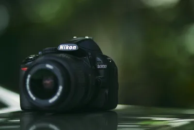 Best Lenses for Nikon D3100 in 2024