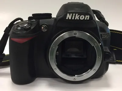 Nikon D3100 sample photo 68968323