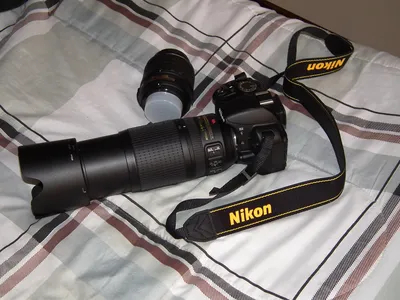 Nikon 3100 Review From an Amateur | WPC Official Account | Blogs | World  Photographers Club