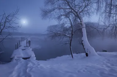 Зимняя ночь. Фотограф Александр Гвоздь