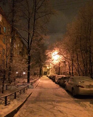 ☃🎄 #зима #россия #ночь #спб #ленинград #russia #питер #wi… | Flickr