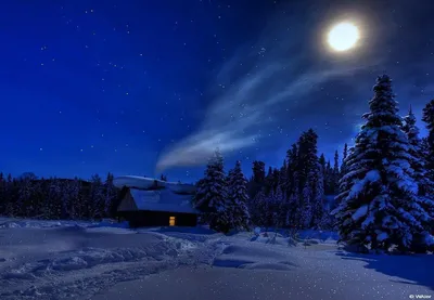 Светло ночью зимой (39 фото) - 39 фото