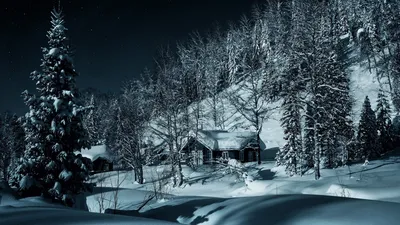 Зимняя ночь / фото