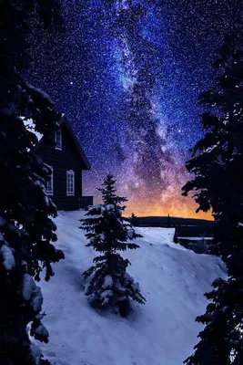 Фотография Питер, зима, ночь, канал, автор Александр Бобырь