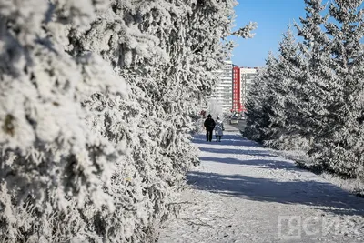 В ноябре будет аномальная погода - синоптики дали прогноз на ноябрь