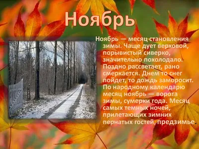 Синоптики рассказали, каким будет ноябрь в этом году , Новости Узбекистана
