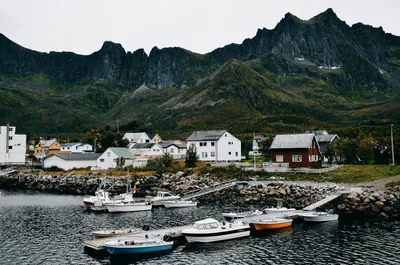 Климат Норвегии или насколько холодно в стране викингов - Туроператор  Nordic Travel