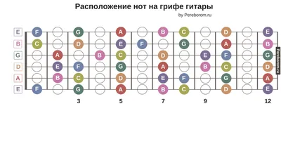 Ноты на грифе гитары. 16 шагов по изучению расположения нот на грифе.