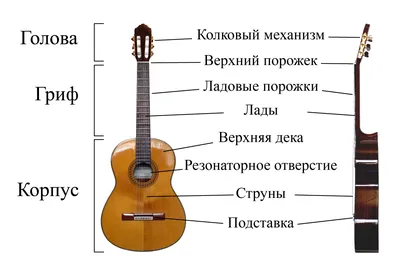 Расположение нот на грифе гитары - YouTube