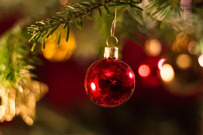 В праздничном наряде. 11 самых красивых и необычных новогодних елок мира