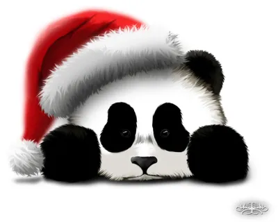милая панда в новогодней шапке в подарочной коробке PNG , с, живая природа,  гирлянда PNG картинки и пнг рисунок для бесплатной загрузки