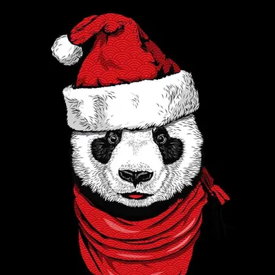 Панда в красных труселях 🐼🎈 | Новогоднее поздравление от Панды  #новогоднеепоздравление #скороновыйгод #корпоратив #вечеринка  #новогоднеенастроение #детскийпраздник #утренник #пандабелгород  #новыйгод2023 #новогодниепраздник | Дзен