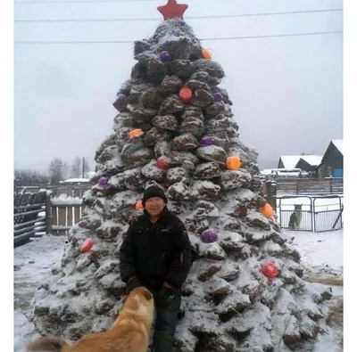Самые необычные новогодние елки в мире (ФОТО): читать на Golos.ua