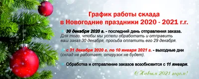 Новогодний концерт 2021 | Музыкальная школа г. Михайловска