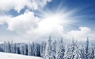 Снег Зима Пейзаж - Бесплатная векторная графика на Pixabay - Pixabay