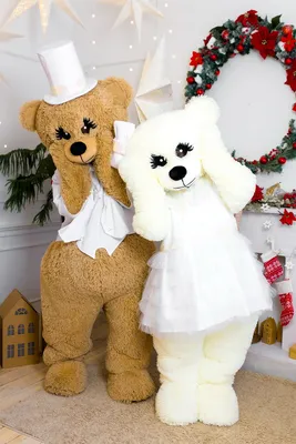 Новогодняя шапка медведь наклейка PNG , рождество, Рождественская шляпа,  нести PNG картинки и пнг PSD рисунок для бесплатной загрузки