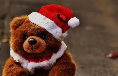 NatalKa Creations. Тедди с шармом : Мишка-подарок на Рождество.  Teddybär-Weihnachtsgeschenk