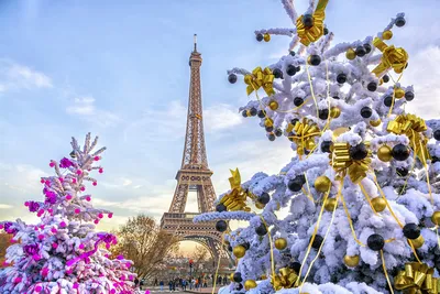 Тур в Париж на Рождество из Польши