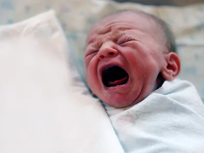 Новорожденный ребенок - как ребенок ведет себя в первые недели жизни? |  Психология детей | Дзен