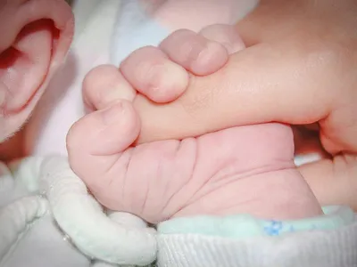 Новорожденный ребенок спит среди …» — создано в Шедевруме