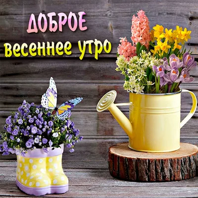 🌸✨☕ Красивые картинки \"С добрым весенним утром!\" (170 шт.) | Картинки,  Счастливые картинки, Семейные дни рождения