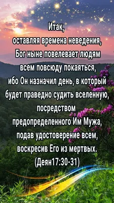 о / Оливье :: Новый Год :: Приколы про еду :: картинка с текстом ::  праздник / смешные картинки и другие приколы: комиксы, гиф анимация, видео,  лучший интеллектуальный юмор.