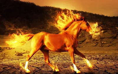 Бородинский Хутор - Анюта и ее любимка Верон❤️ Скоро Новый Год!!!!!  #бородинскийхутор #лошади #лошадинапрокат #лошади🐴 #конныйклуб  #коннаябазазаря #конныепрогулки #horsesofinstagram #horse #horses | Facebook