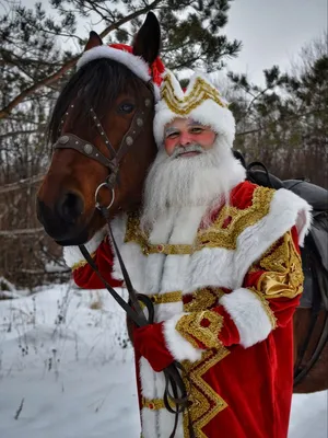 Дед Мороз и лошадь | Дед мороз, Лошади, Новый год