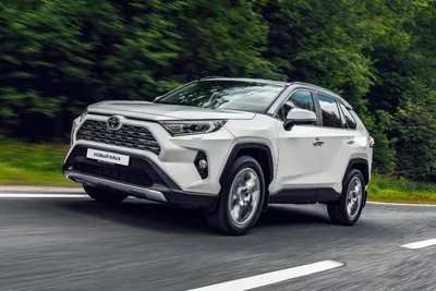 Новый кроссовер Toyota RAV4 появится в России совсем скоро — Авторевю