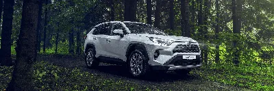 КЛЮЧАВТО | Купить новый Toyota RAV4 в Омске в наличии от официального дилера