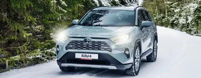 Новая Toyota RAV4 появится в Новосибирске в ноябре 2019 года - 9 сентября  2019 - НГС.ру