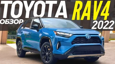 Новый кроссовер Toyota RAV4 2024 года показали на фото - как выглядит  Тойота РАВ 4 | OBOZ.UA